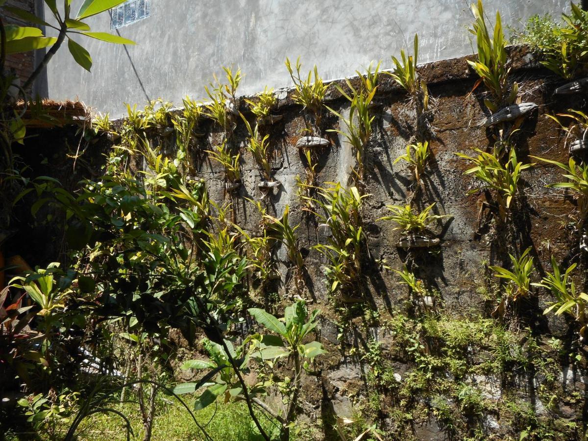 Milla Homestay Sidemen (Bali) Exterior foto