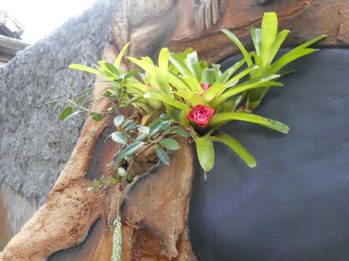 Milla Homestay Sidemen (Bali) Exterior foto