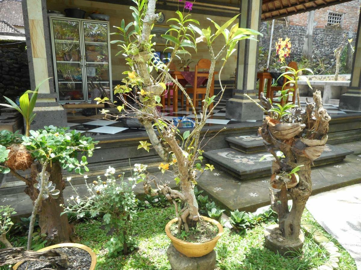 Milla Homestay Sidemen (Bali) Exterior foto