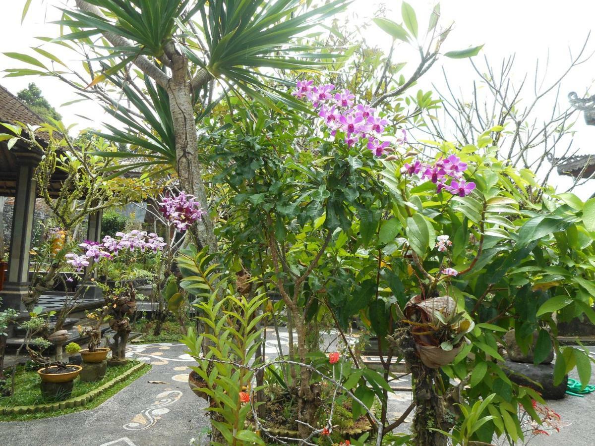 Milla Homestay Sidemen (Bali) Exterior foto