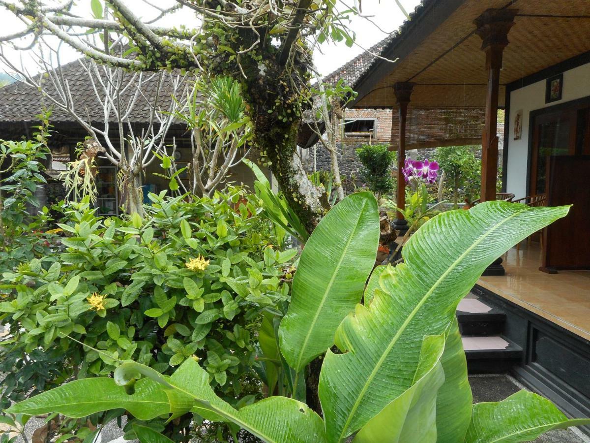 Milla Homestay Sidemen (Bali) Exterior foto