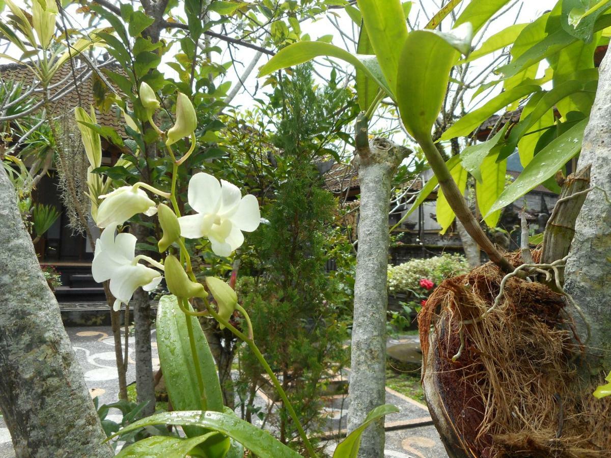 Milla Homestay Sidemen (Bali) Exterior foto